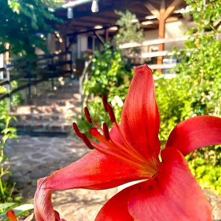 Goldschmiedt Vendeghaz 3* Palkove