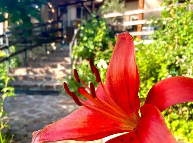 Goldschmiedt Vendeghaz 3* Palkove